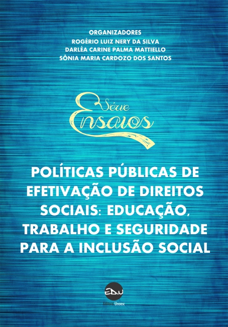 Politicas publicas de efetivacao de direitos sociais