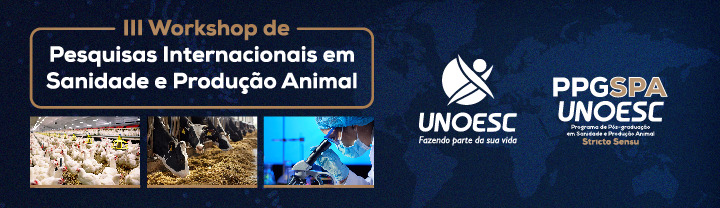 Mestrado workshop internacionalização banner site